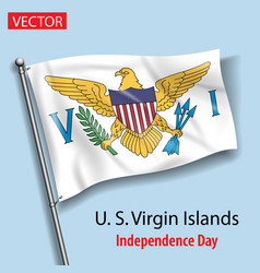 United States Virgin Islands Country Flag