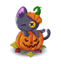 Cute Cartoon Kitten In A Halloween Pumpkin