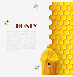 Honey Beehive Background