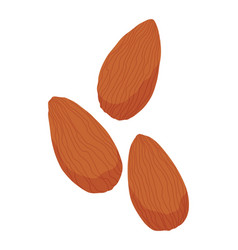 Almond Nut Icon Isolated