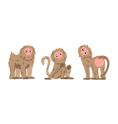 Cartoon Baboon Characters In Different Poses