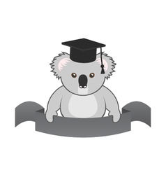 Student Koala