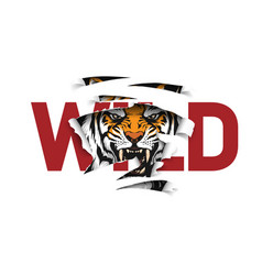 Wild Slogan Ripped Off With Tiger