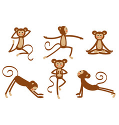 Funny And Cute Monkey Doing Yoga Poses