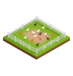 Isometric Poultry Farming Chicken Coop Or Hen