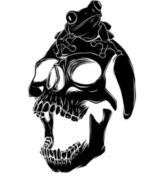 Black Silhouette Of Frog On Human Skull