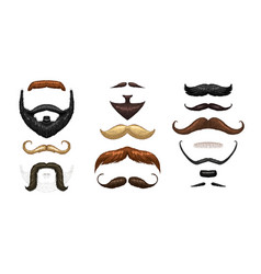 Set Of Mustache And Funny Beard Men Hipster