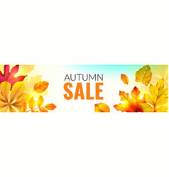 Banner With Fall Leaves Autumn Season Discount