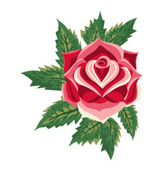 Blooming Rose Icon