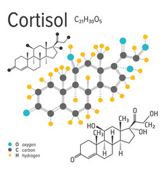 Chemical Formula Of The Cortisol Molecule