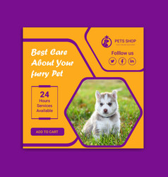 Pet Store Social Media Promotion Instagram Banner