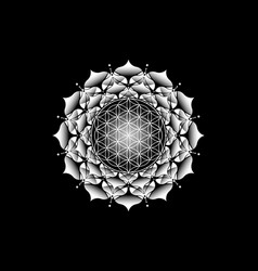 Sacred Lotus Yantra Mandala Mystic Flower Of Life