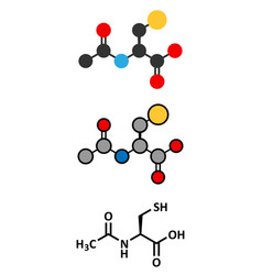 Acetylcysteine Nac Mucolytic Drug Chemical