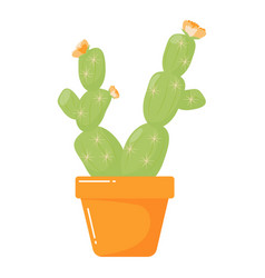 Cactus With Orange Flowers