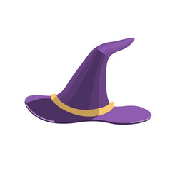 Purple Witch Hat Hat Can Be U