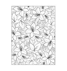 Blossom Lily Flower Pattern Lily Flower Line Draw