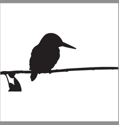 Common Kingfisher Silhouette