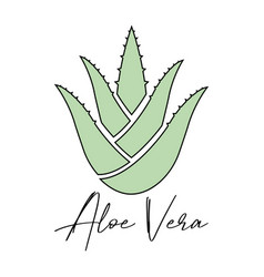 Aloe Vera Plant Icon