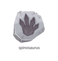 Spinosaurus Dinosaur Footprint Stone Fossil