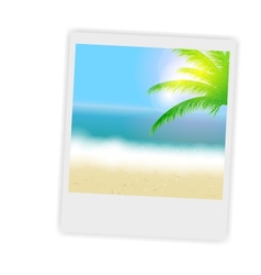 Beautiful Summer Background With Instant Photos