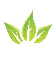 Glossy Green Tobacco Leaves Icon