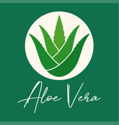 Aloe Vera Plant Icon