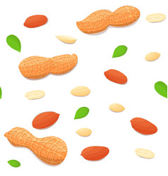 Seamless Pattern Peanut Nuts With Leaves