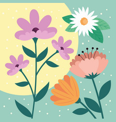 Multicolors Flowers Garden Pattern