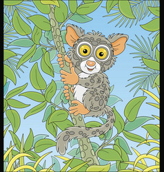 Philippine Tarsier On A Tropical Tree