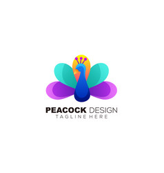 Beauty Peacock Logo Colorful Design Template