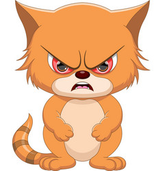 Angry Cat Cartoon