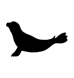 Harbour Seal Silhouette