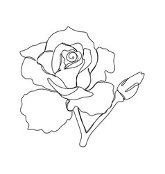 Rose One Single Line