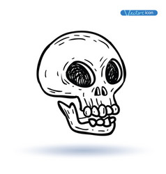 Skull Cartoon Icon