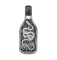 Snake Wine Sketch