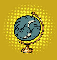 Globe International Cat Is Curled Up In A Ball