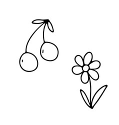 Hand Drawn Flower Daisy And Berries Cherry