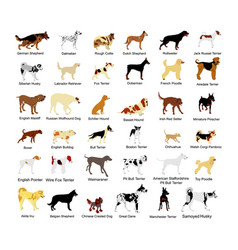 Large Dog Breed Set Collection