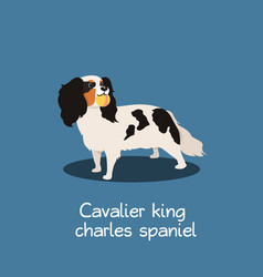 Cavalier King Charles Spaniel Dog Design