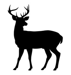 Deer Silhouette Side View