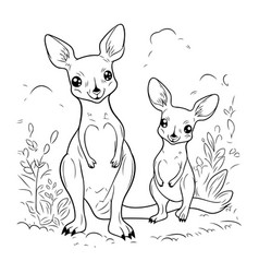 Kangaroo And Joey Black White