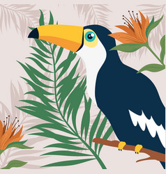 Toucan Bird With Flowers Pattern