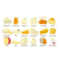 Big Set Of Different Types Cheese Isolated