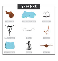 Horse Harness Equipment