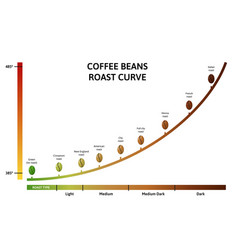 Coffee Roasting Levels Roast Curve Optimal