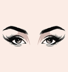 Hand Drawn Woman S Female Sexy Eyes