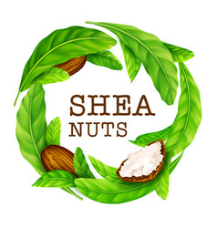 Shea Nuts With Leaves