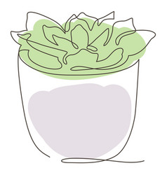 Succulent Plant Pot Line Drawing