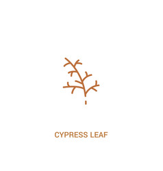 Cypress Leaf Concept 2 Colored Icon Simple Line