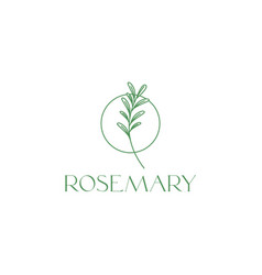 Rosemary Leaves Treatment Hair Skin Beauty